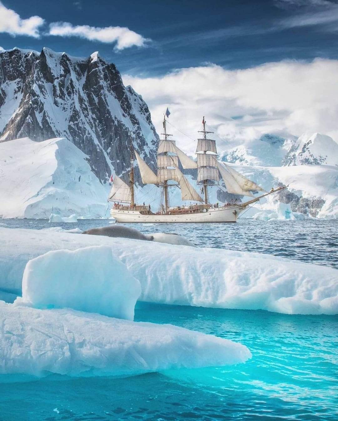 Lovely Antarctica.jpg